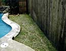 Bermuda Grass 4