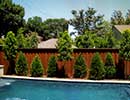 Native Landscaping 4
